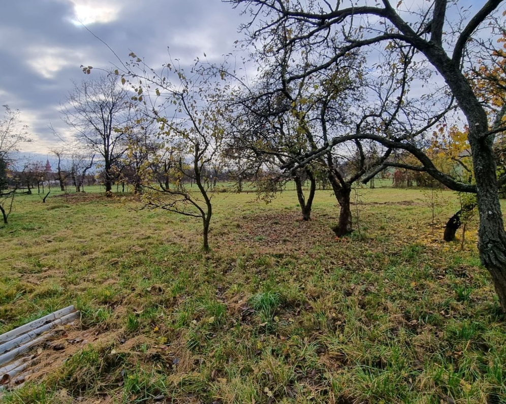 Stavebné pozemky v obci Kechnec na výstavbu rodinných domov.